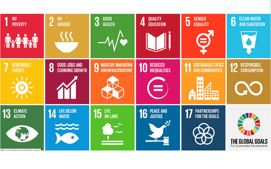 The Sustainable Development Goals